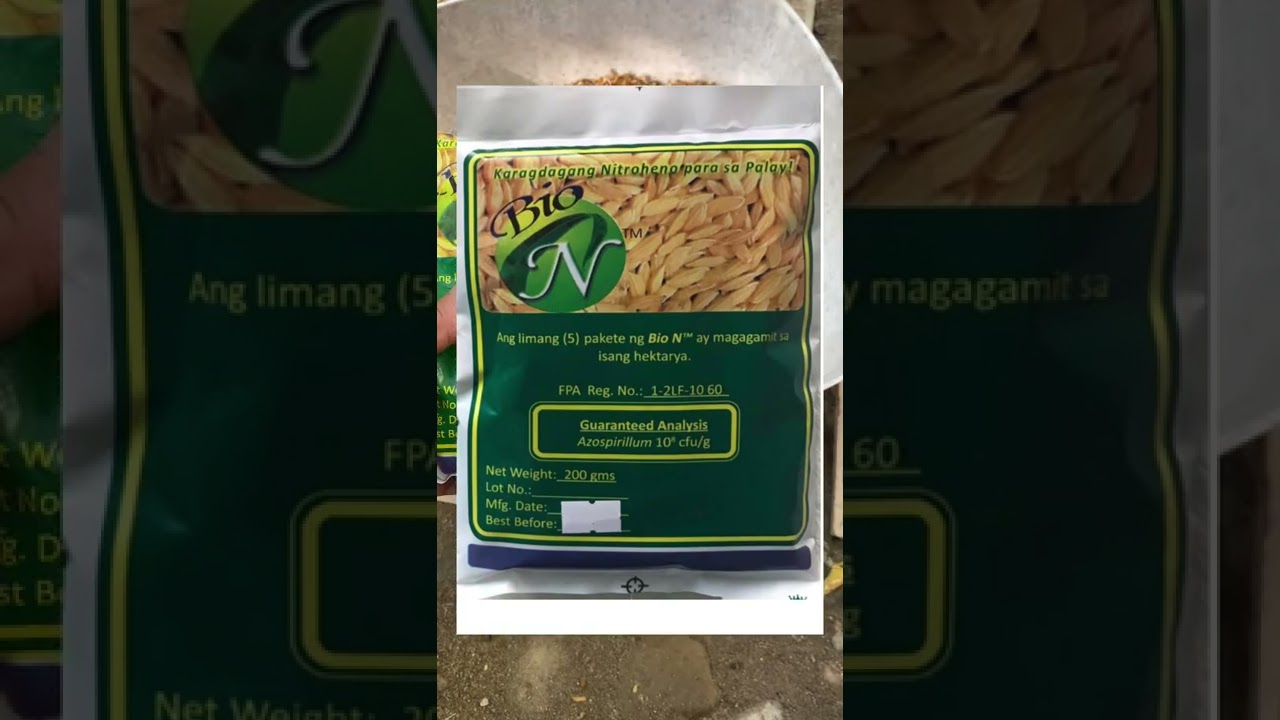Bio N fertilizer mas tipid at mas epektibo?