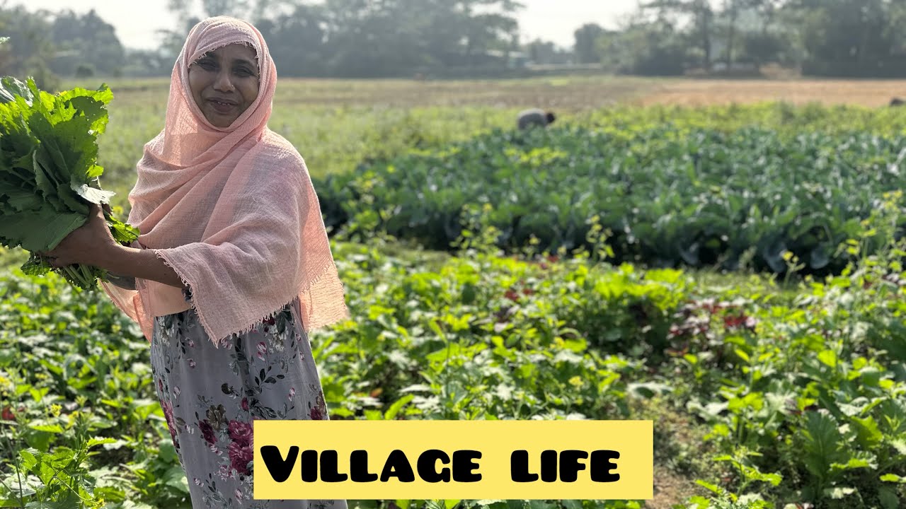 Bangladesh gram Bangla day 19 | Village vegetable garden 2026