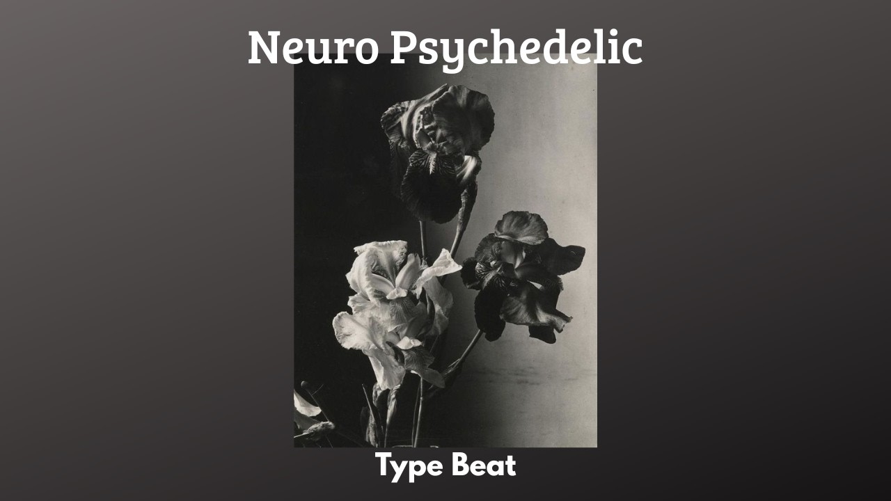 Flying Lotus x Monte Booker Emotional Psychedelic neuro type beat 