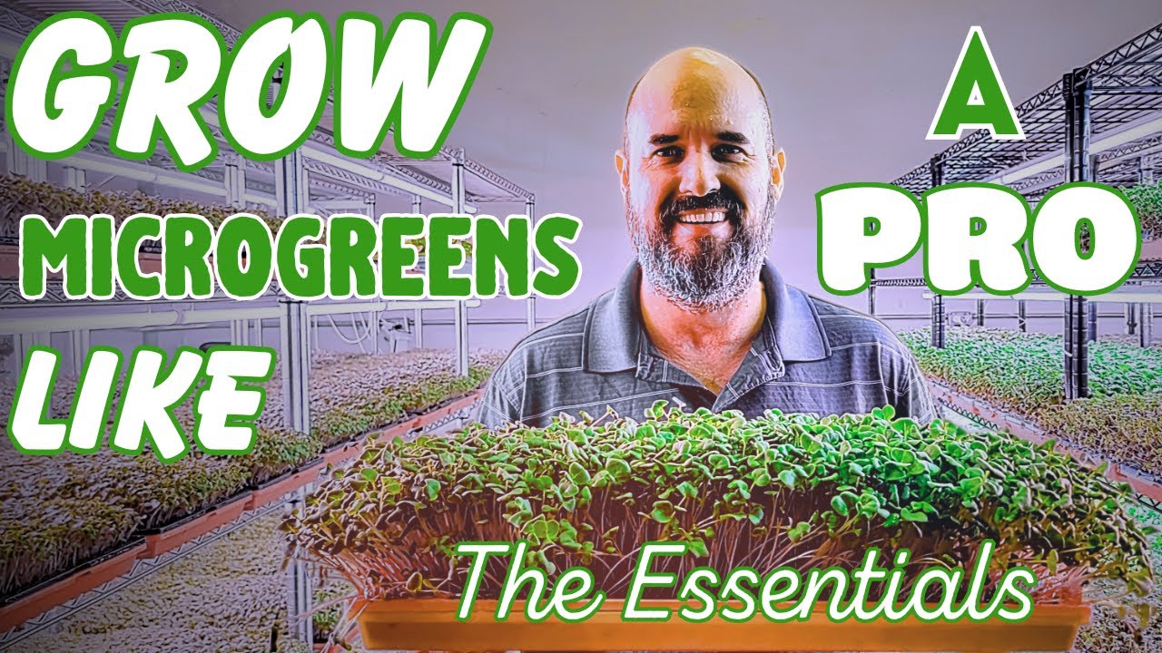Start Growing Microgreens Like a Pro: Equipment and Setup Essentials