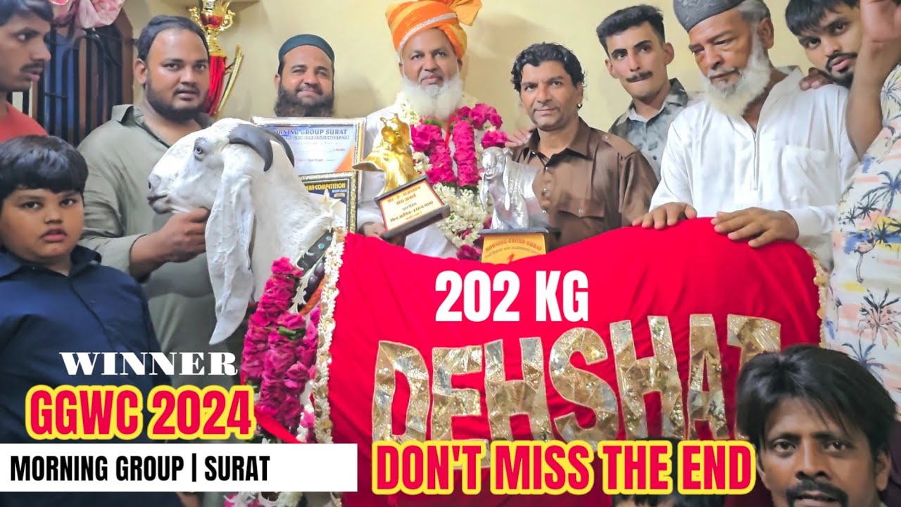 INDIA'S BIGGEST GOAT WEIGHT GAIN COMPETITION ,GUJARAT | BY MORNING GROUP SURAT |