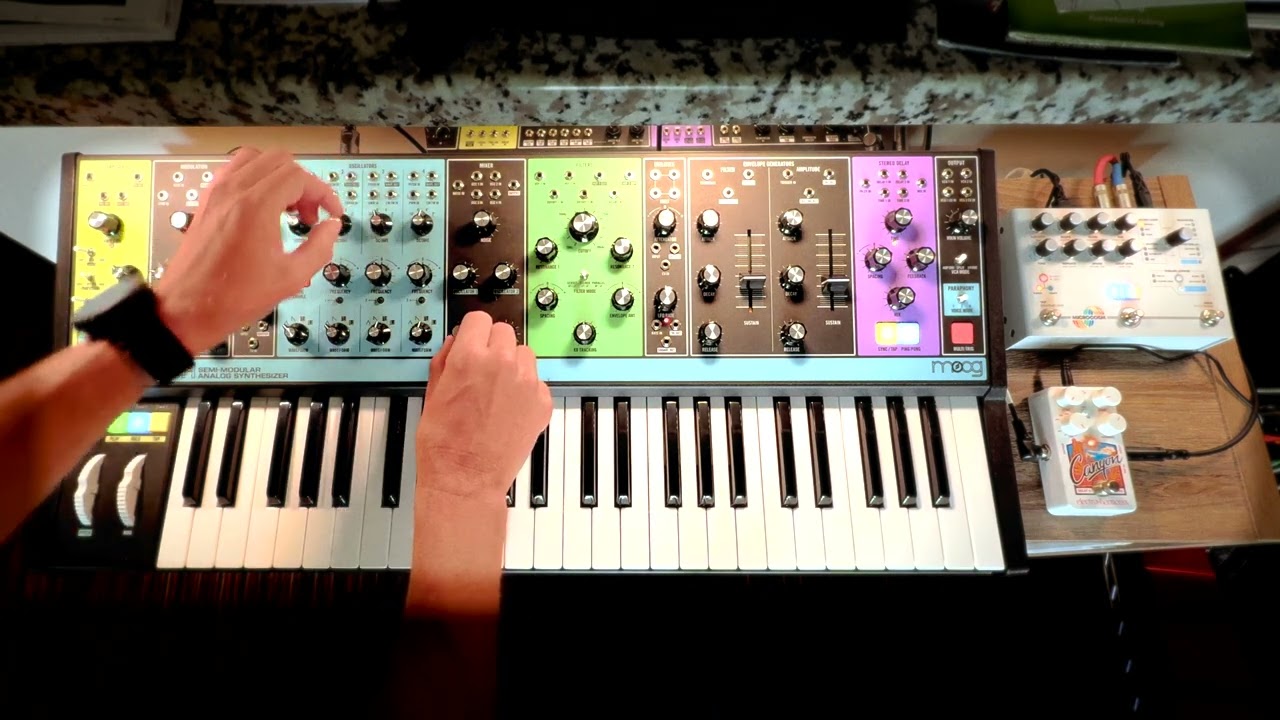 Moog Matriarch through EH Canyon Delay and Hologram Microcosm Jam