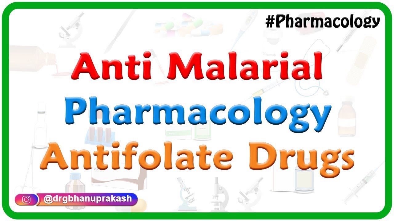 Anti malarial Pharmacology - Antifolate Drugs - Dr Rajesh Gubba