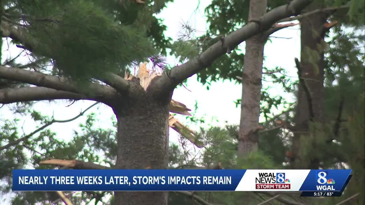 Manheim Township continues storm cleanup as tree removal costs rise