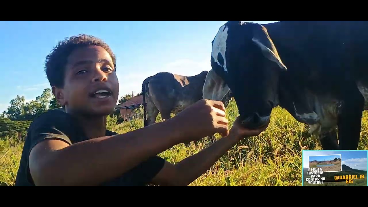 Bora ver as vacas 🐄