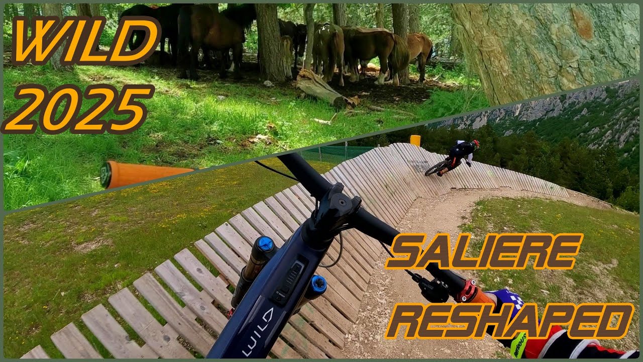 WILD 2025 Frontignano SALIERE Reshaped