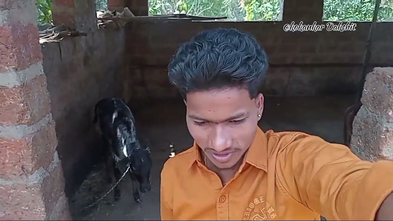 भरत भाईच्या लग्नाला....❤️