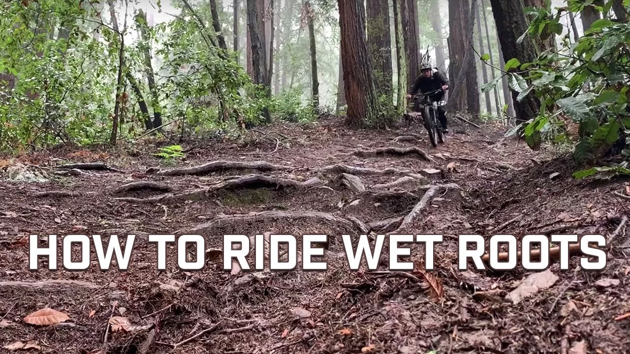 How To Ride Wet Roots