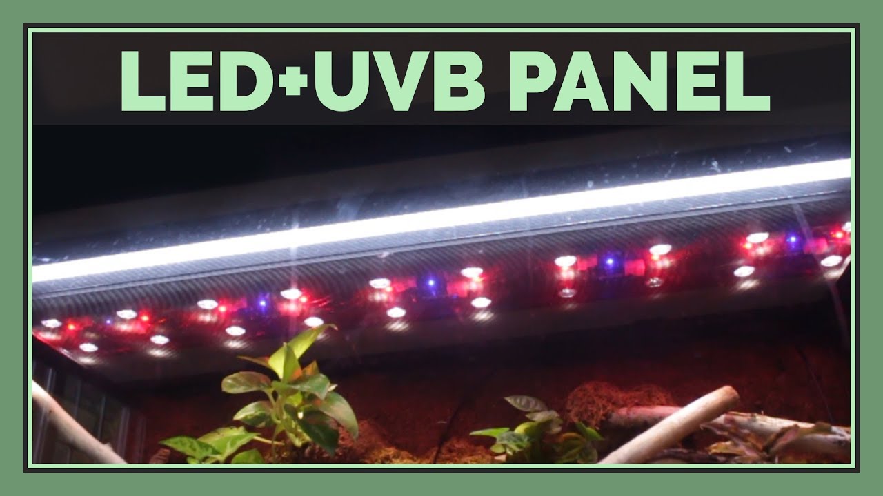 Zoo Med ReptiSun LED UVB Panel REVIEW | An In-Depth Look