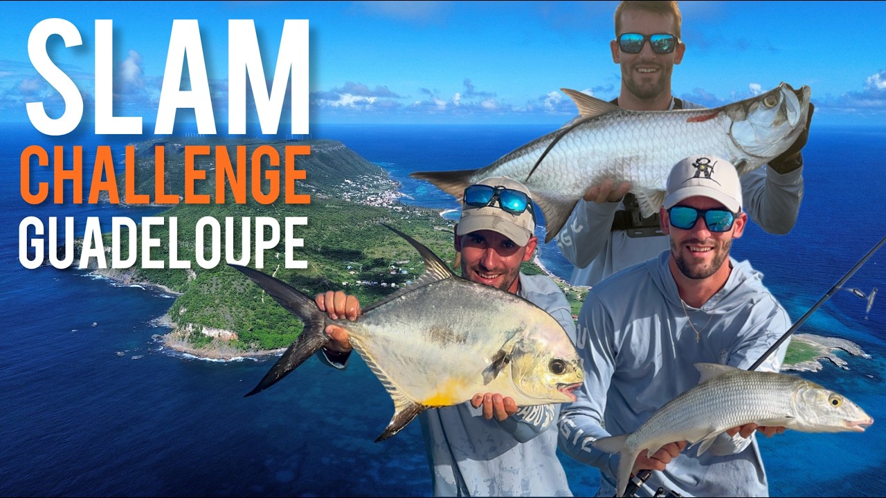 Mission bonefish / pêche Guadeloupe 4K