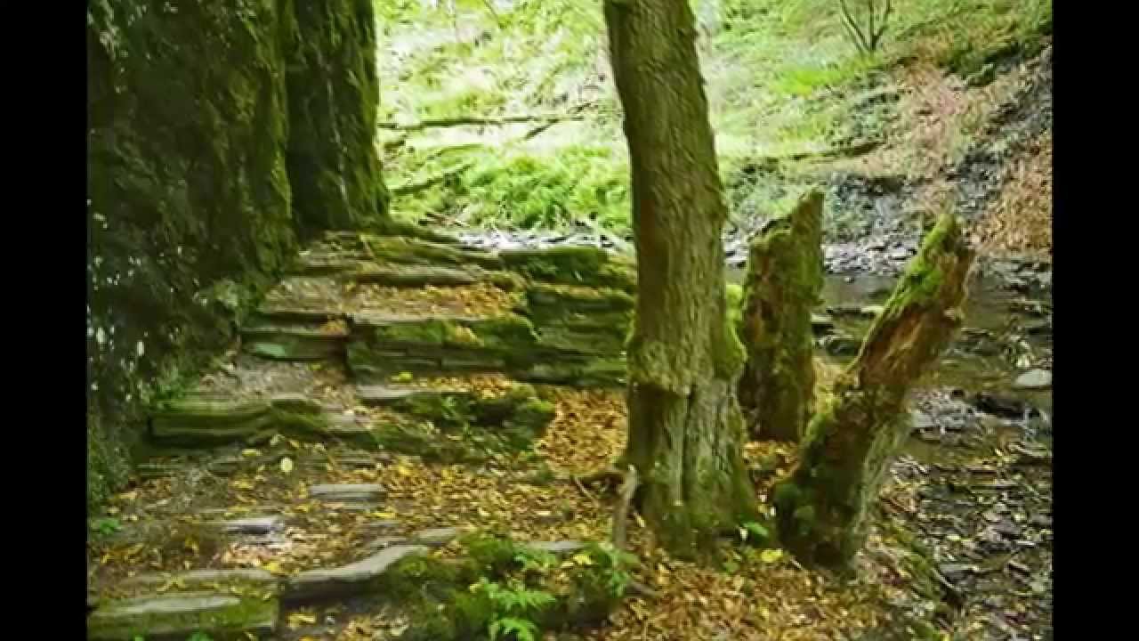 Traumschleife Rabenlay