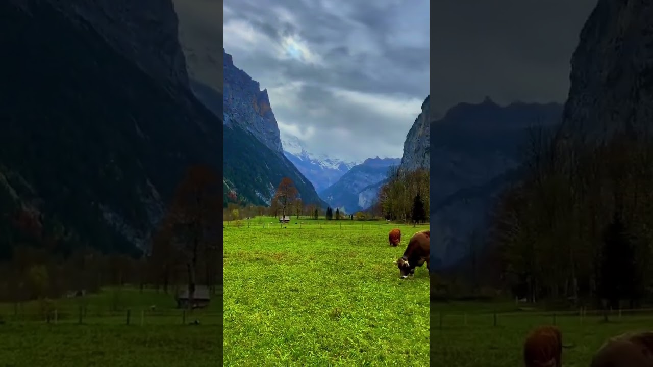 #swissroads 🇨🇭#switzerland #switzerlandnature #roadtrip #berneroberland #lauterbrunnen #verliebti