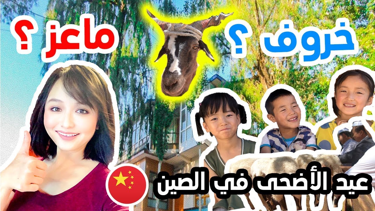 احتفلت بعيد الأضحى مع أهلي… شوفو أجواء العيد في الصين ||  Aid Al Adha in China