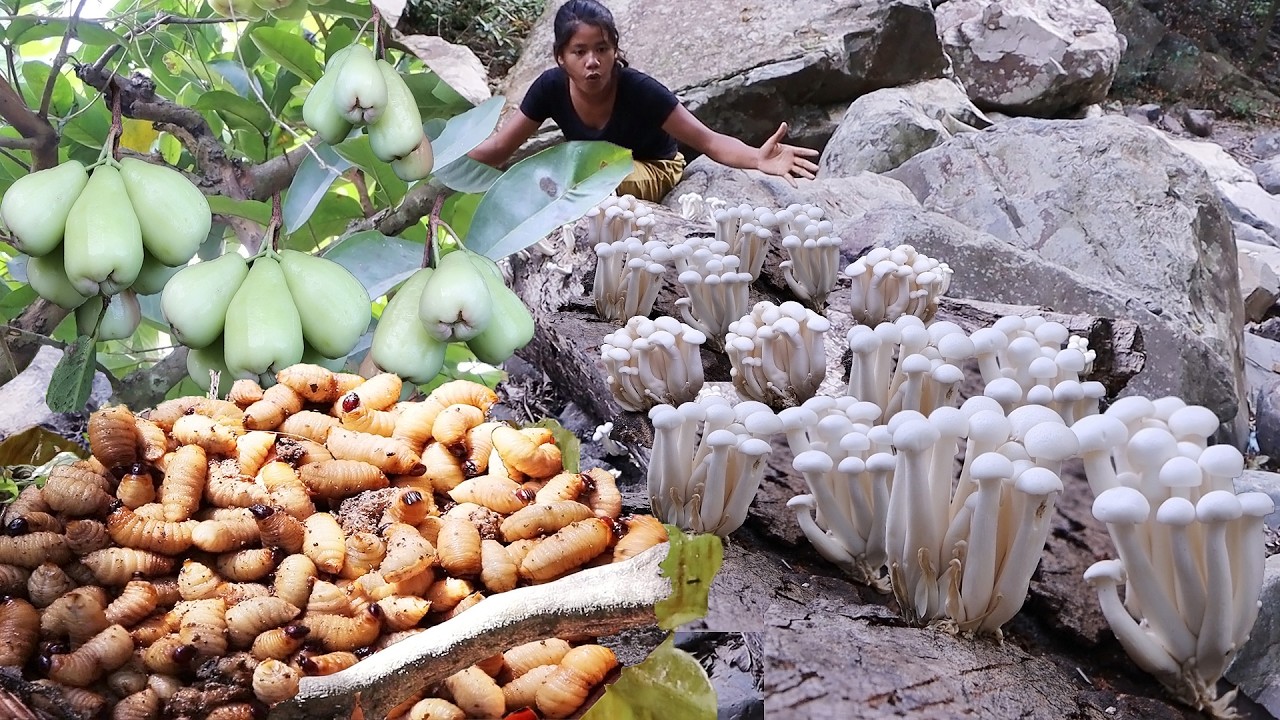 Survival skills: Worm food in tree and Rose apple with Wild mushroom cooking, Eating delicious