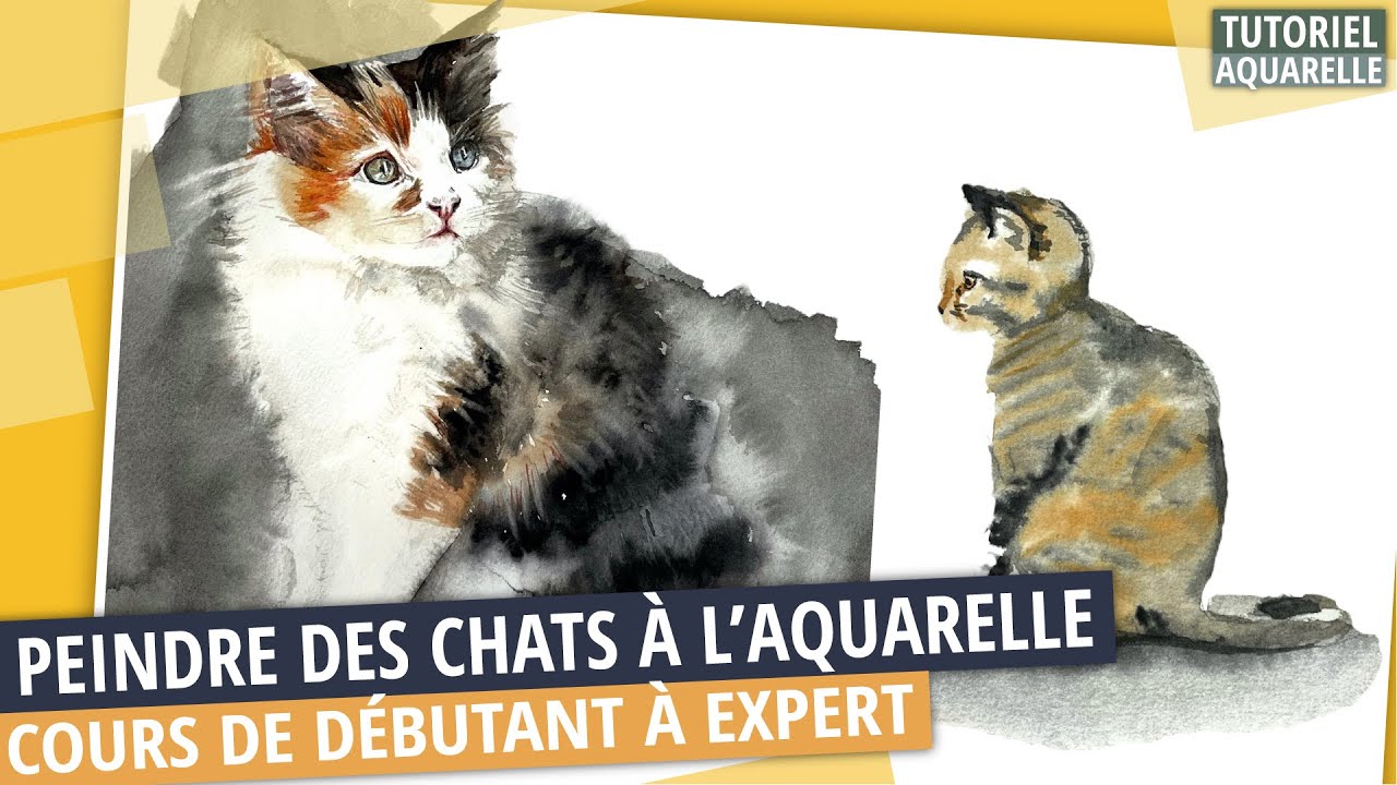 Comment peindre un Chat à l’aquarelle ? Cours débutant 😺+ avancé 🐈 + expert 🐈‍⬛ ! Miaou !
