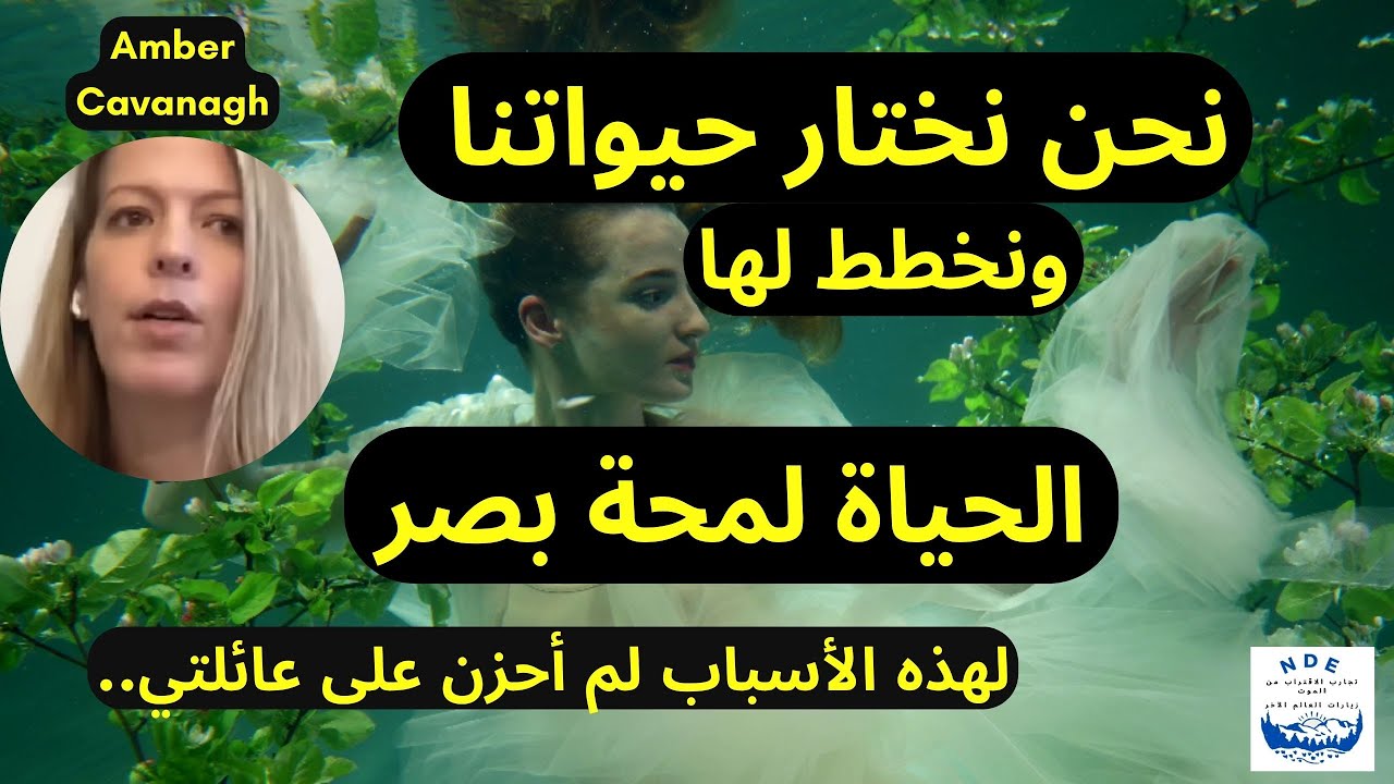 تجربة في الاقتراب من الموت: نحن نختار حيواتنا ونخطط لها ، الحياة لمحة بصر..لم أحزن على عائلتي..