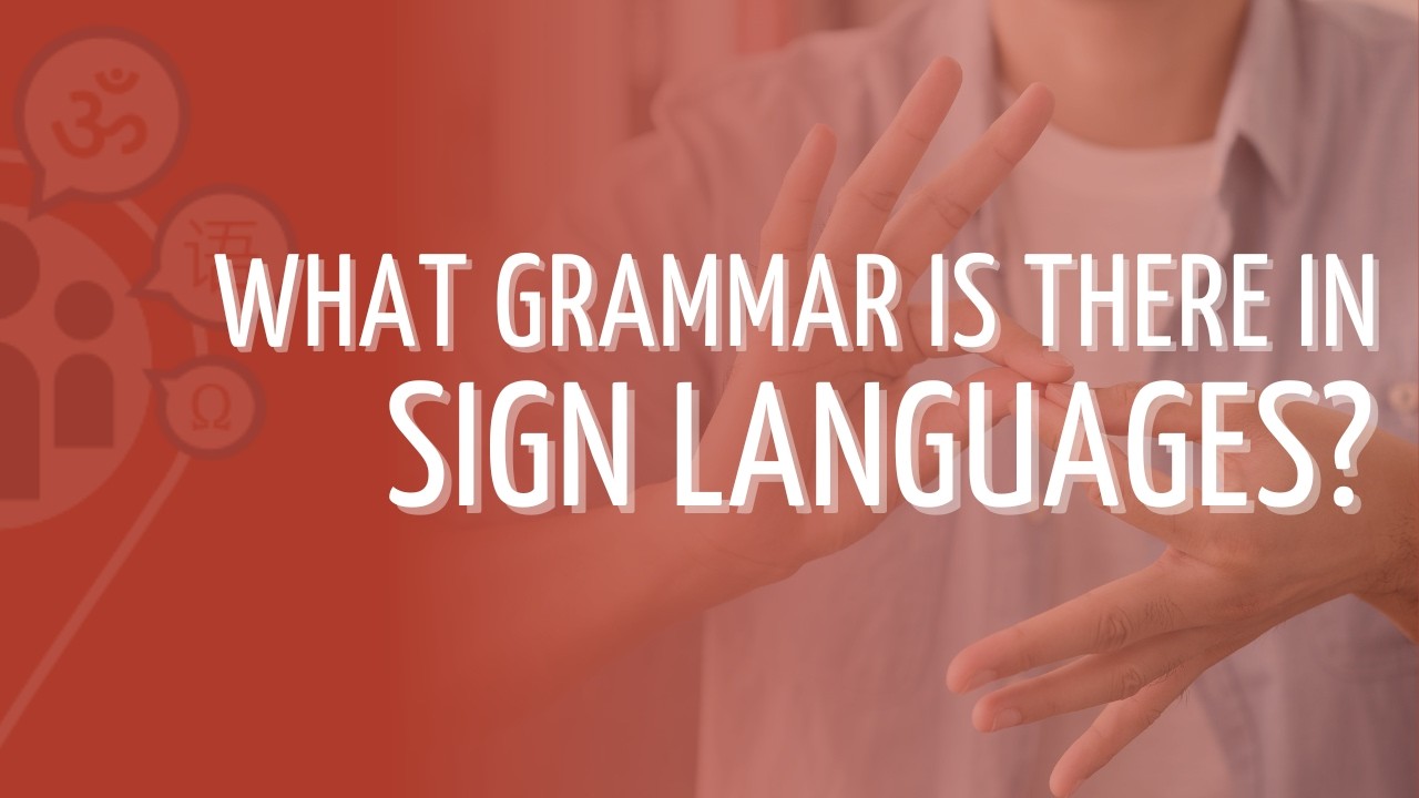 What grammar is there in sign languages? - Rafał Darasz | PG 2024