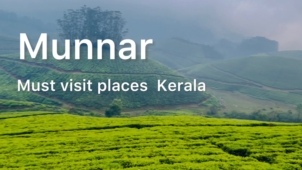 Munnar trip Kerala | Must visit places | Eravikulam National Park Munnar 