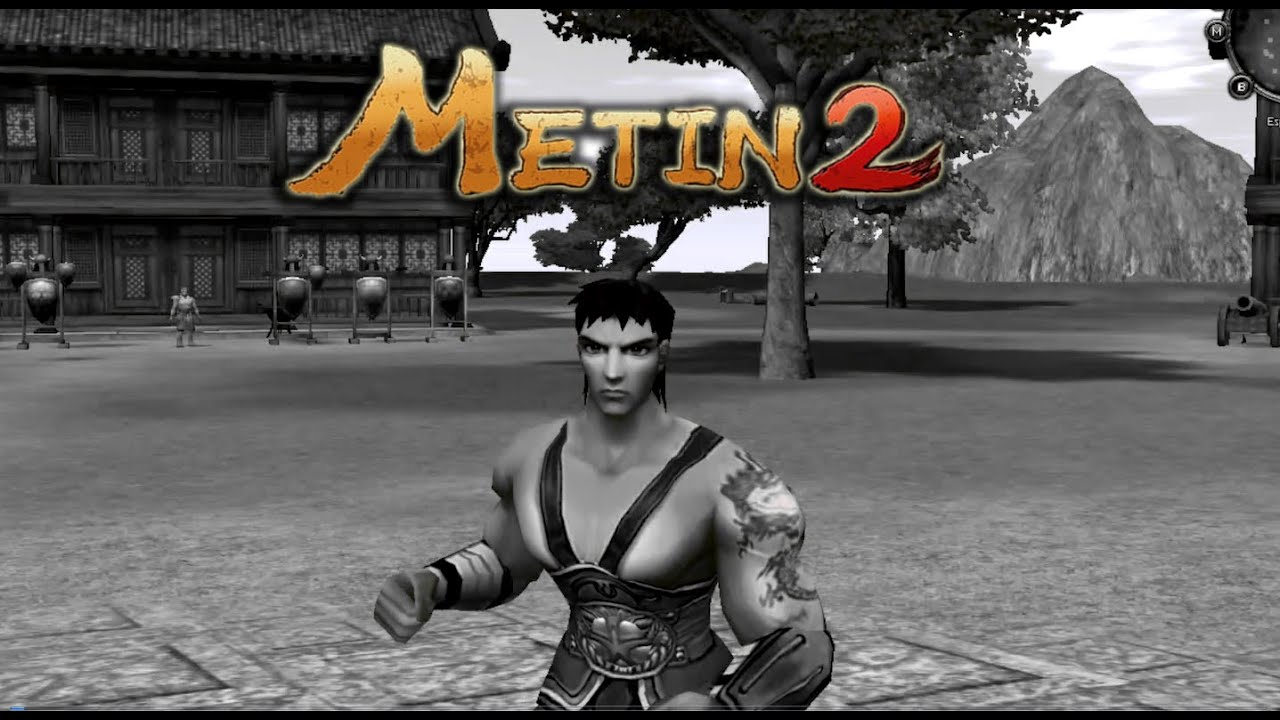 Mi historia en Metin2.