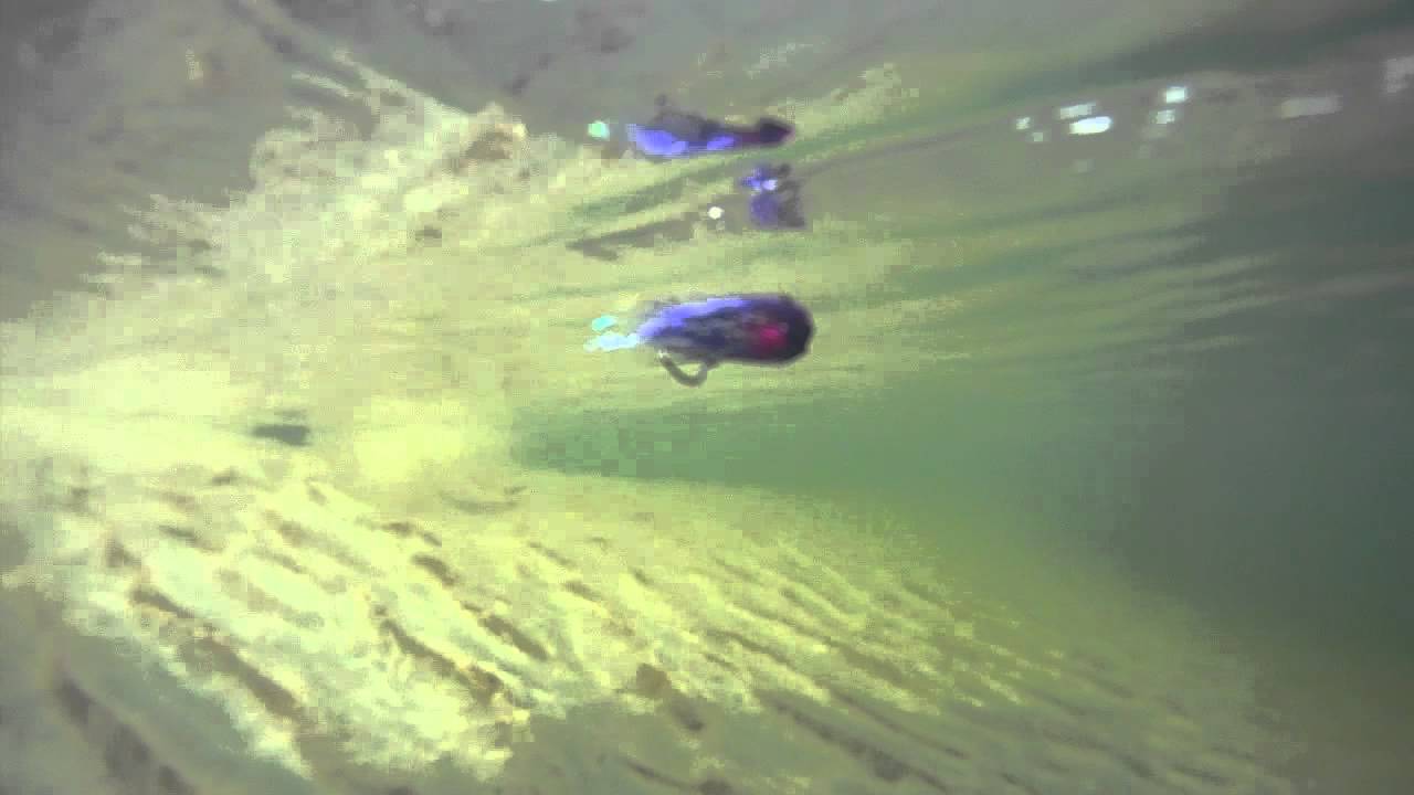 Steelhead Intruder Fly Underwater