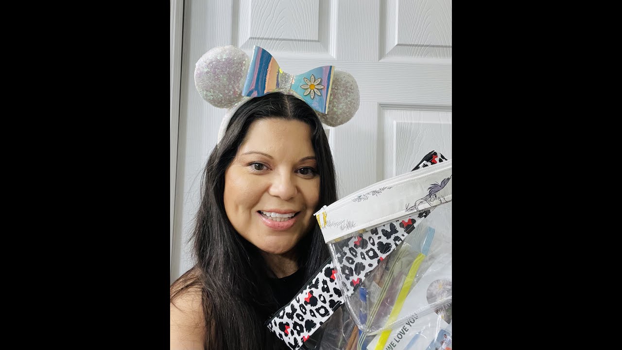 Best Disney bags and pouches  Amy&rsquo;s small world shop