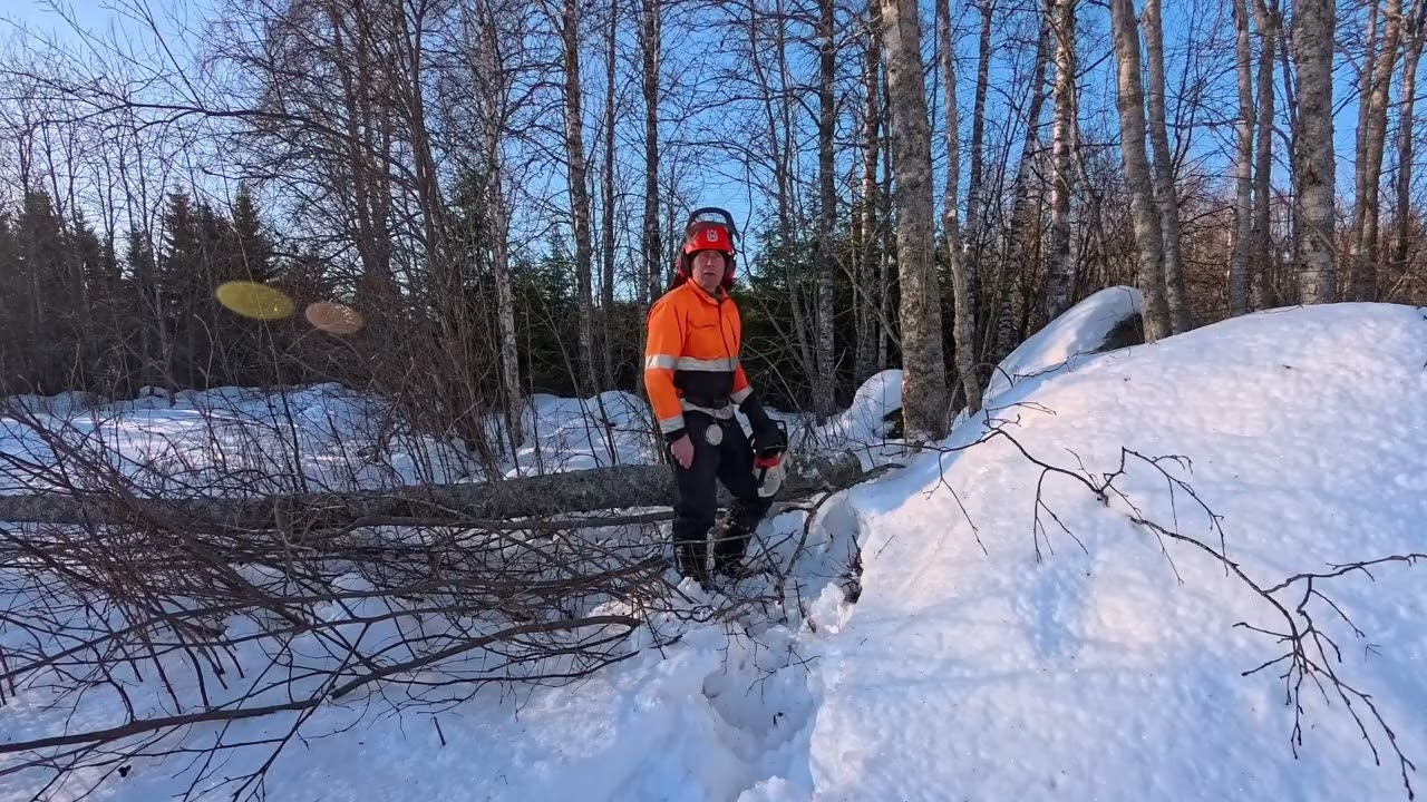 Kaadetaan leppiä ja pohditaan palauteasioita :).