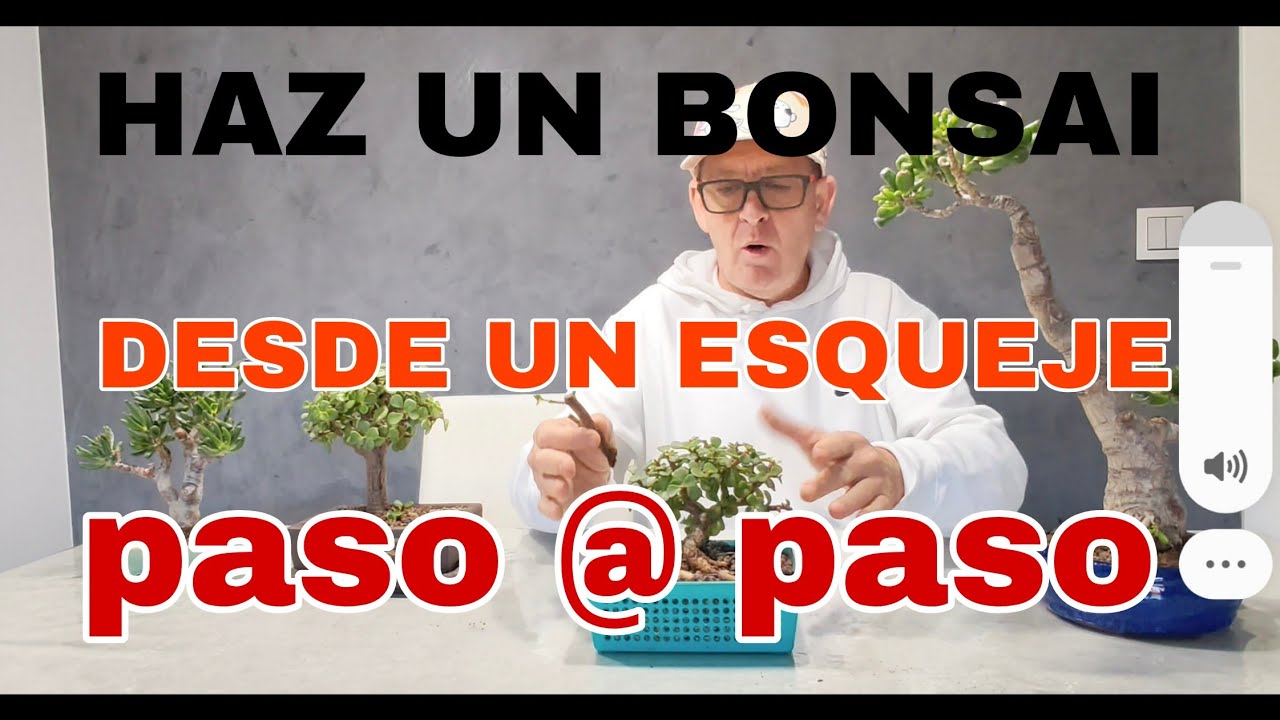 🔴TE ENSEÑÓ A HACER UN BONSAI MINI DE PORTULACARIA AFRA
