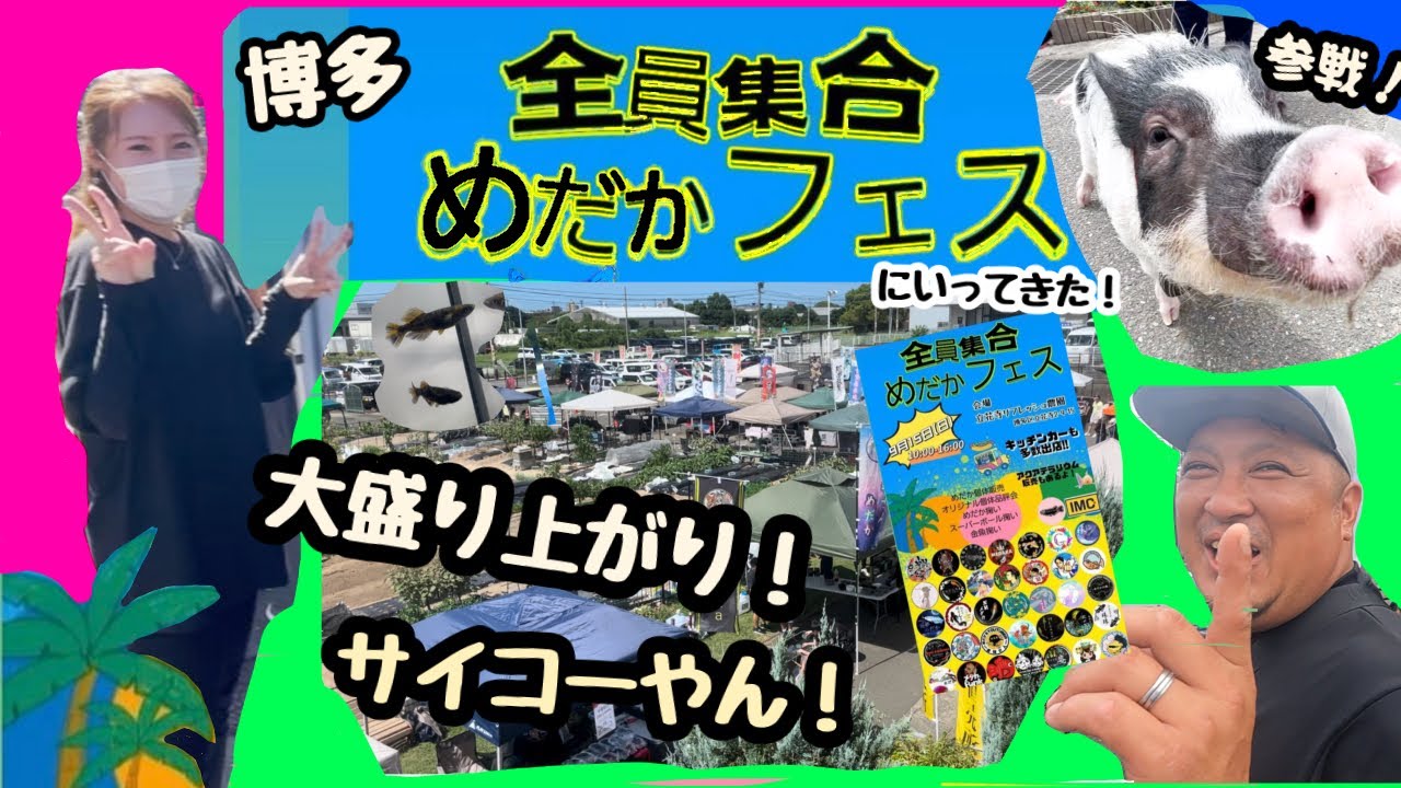 【メダカ】猛暑！全員集合めだかフェス！にいってきた！#メダカイベント #メダカ #めだか