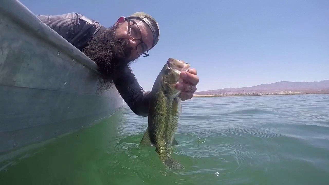 Summertime Bass Fishing Using 8" Worms