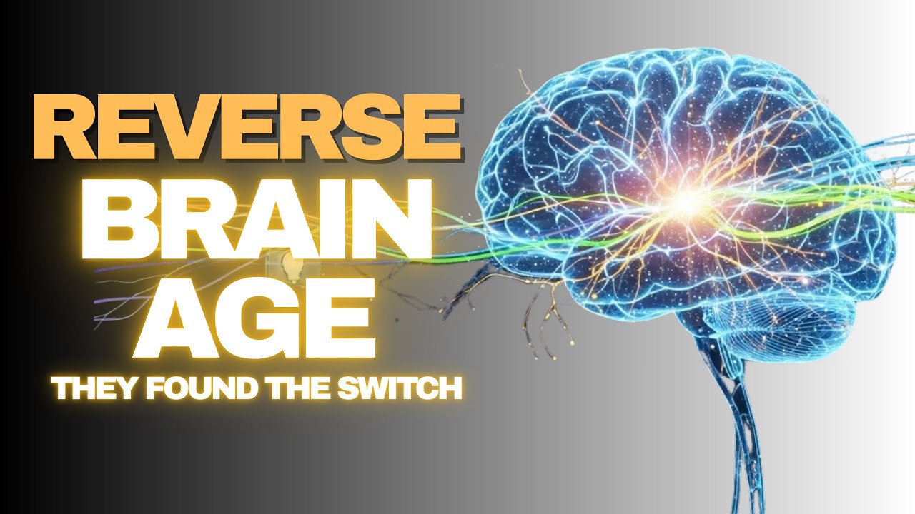 Scientists Just Found a Protein That Reverses Brain Aging (Published This Week)
