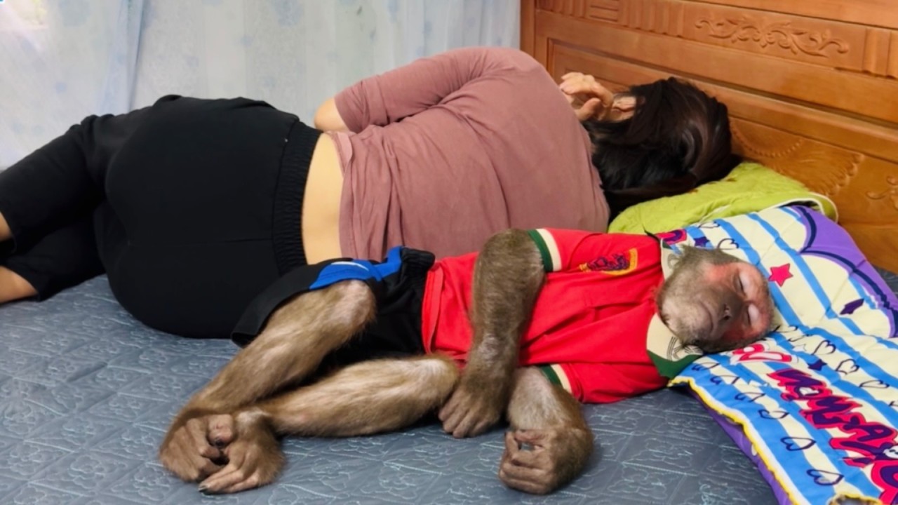 You Won’t Stop Laughing! Mom and Abu Sulking at Each Other While Asleep