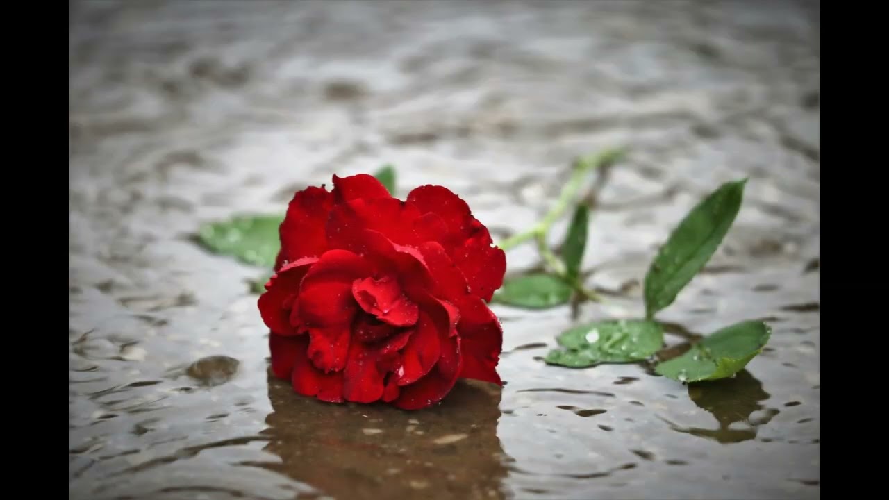 E. Grieg: Elegie (Elegy), Op. 47 no. 7
