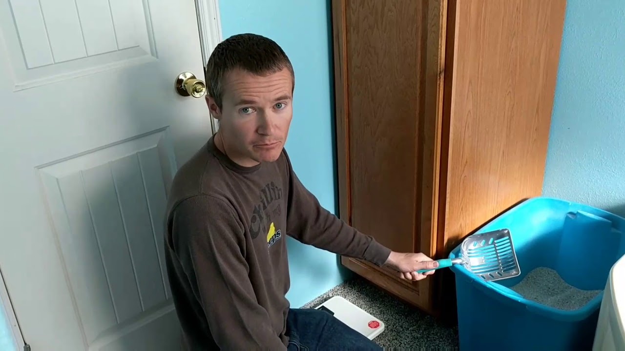 DIY sifting litter box vs hand scoop