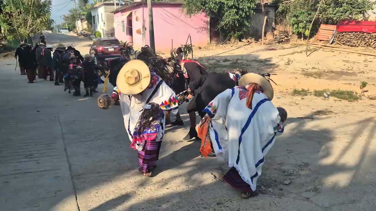 Tejorones Pinotepa de Don Luis 3