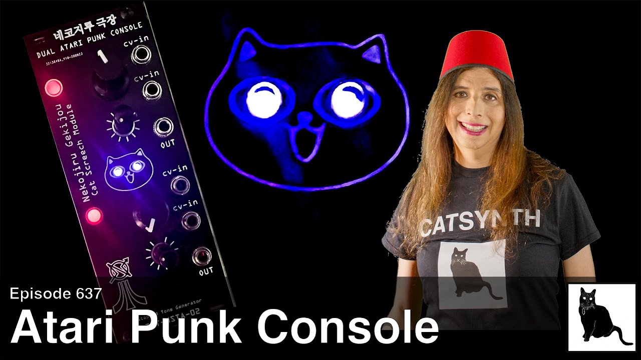 The Dual Atari Punk Console - crunchy lo-fi sounds with a feline touch