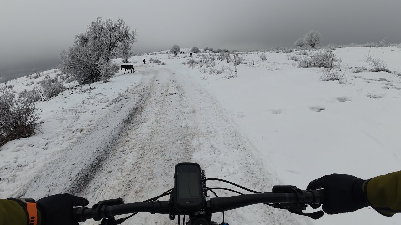 Мургаш Пикник - Зимно 17.11.2026