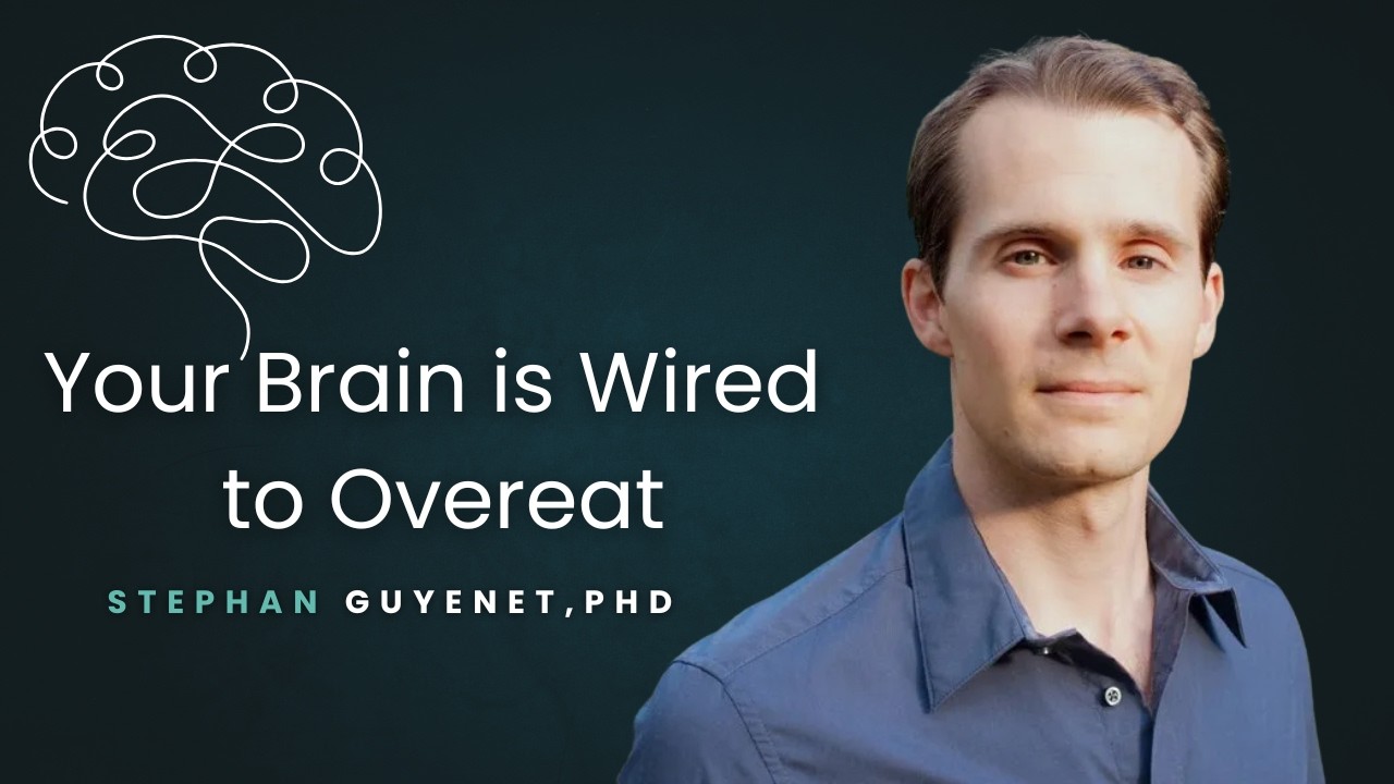Why We Overeat: The Neuroscience of Hunger | Stephan Guyenet