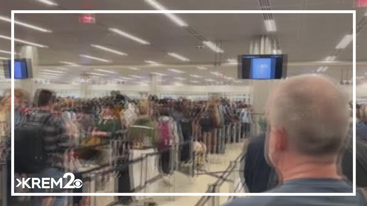 Как справиться с трудностями, связанными с поездкой на весенние каникулы