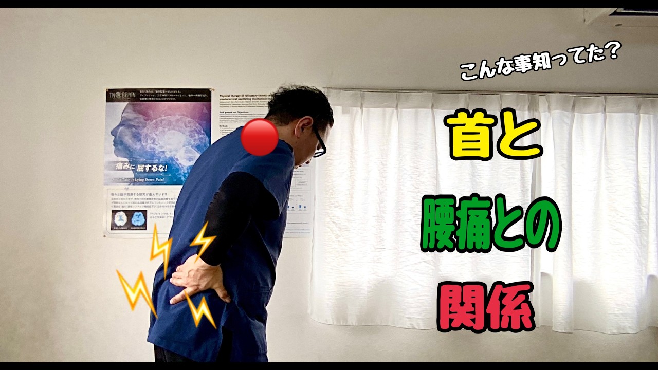【すずらん整体院】首と腰痛との関係について　＃整体院　＃腰痛　＃腰痛改善