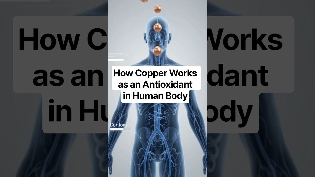 How Copper Works as an Antioxidant in Human Body #brainupdaily #shorts