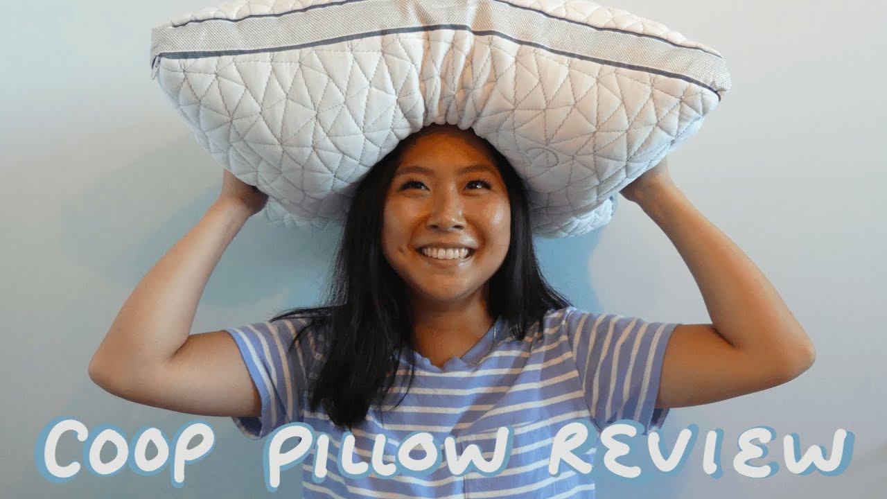Coop Home Goods Eden pillow review