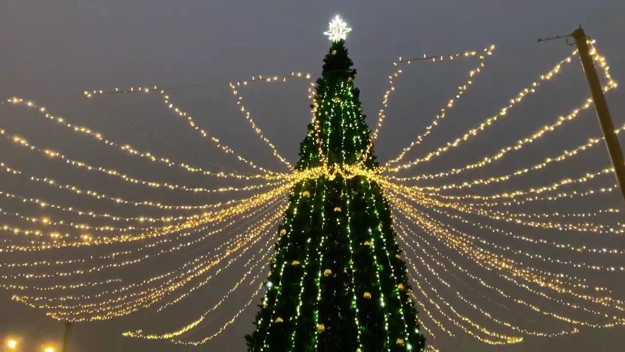 Всем доброго и прекрасного вечера и отличной прогулки 19.1.-2  мира и любви .