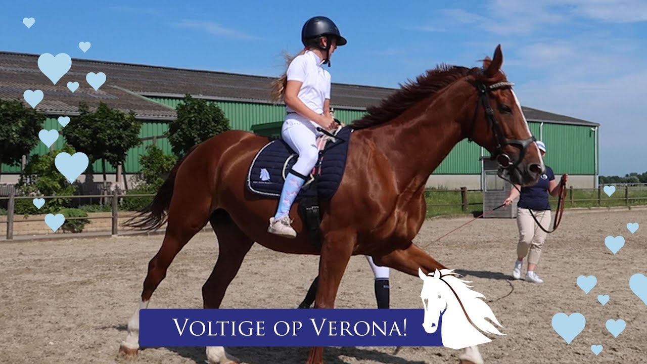 Voltige op Verona * Hart voor Paarden *