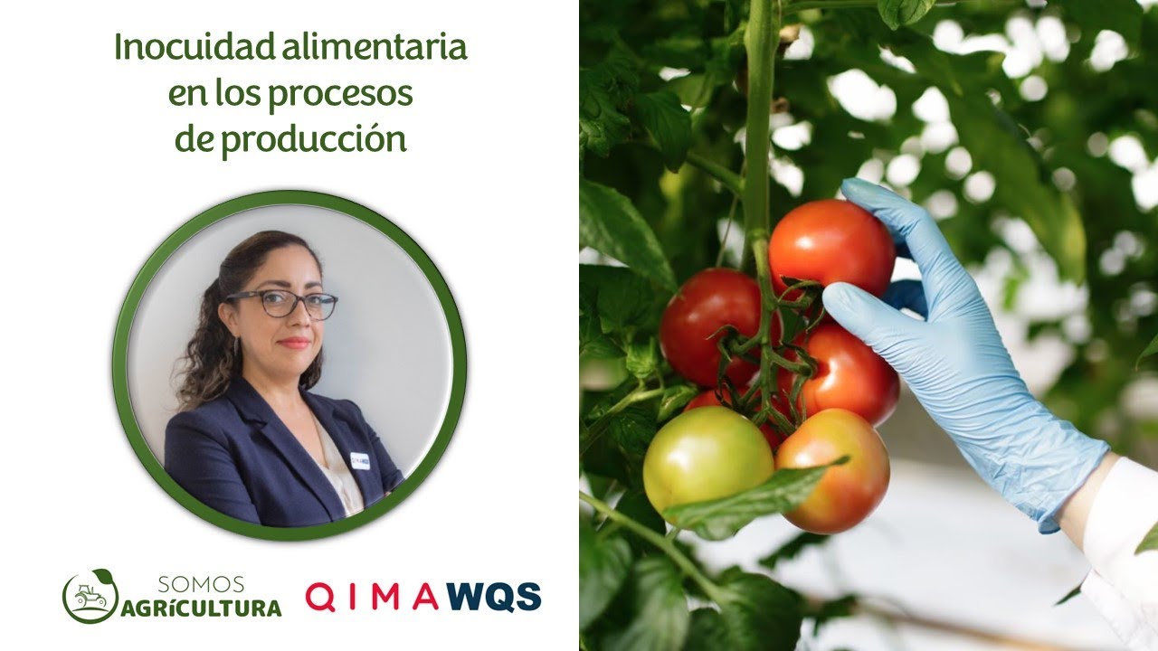 Inocuidad alimentaria en los procesos de producción