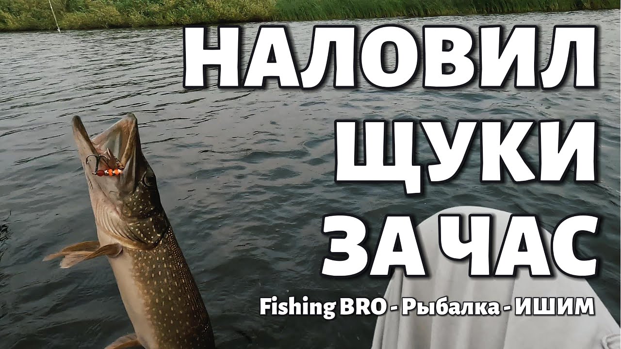 НАЛОВИЛ ЩУКИ ЗА ЧАС #РЫБАЛКА - ИШИМ 🎣🎣🎣