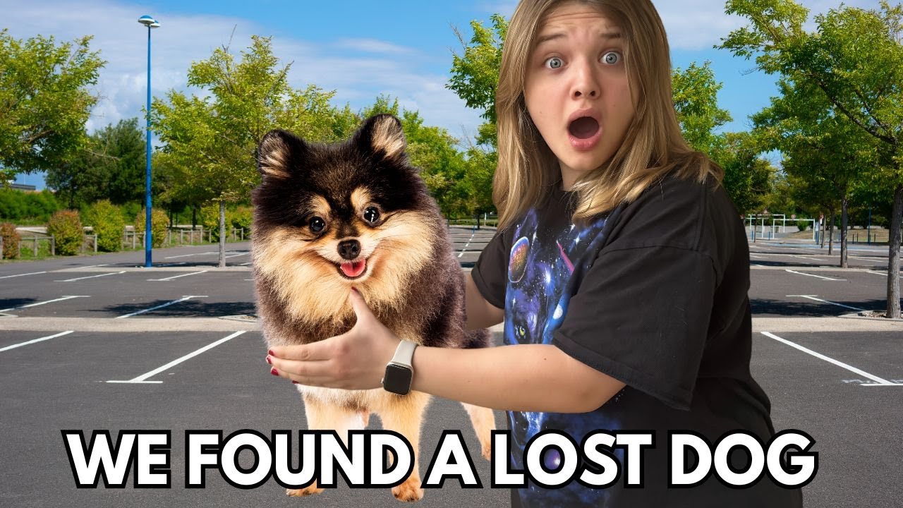 We Found a LOST Dog and Rescued it!