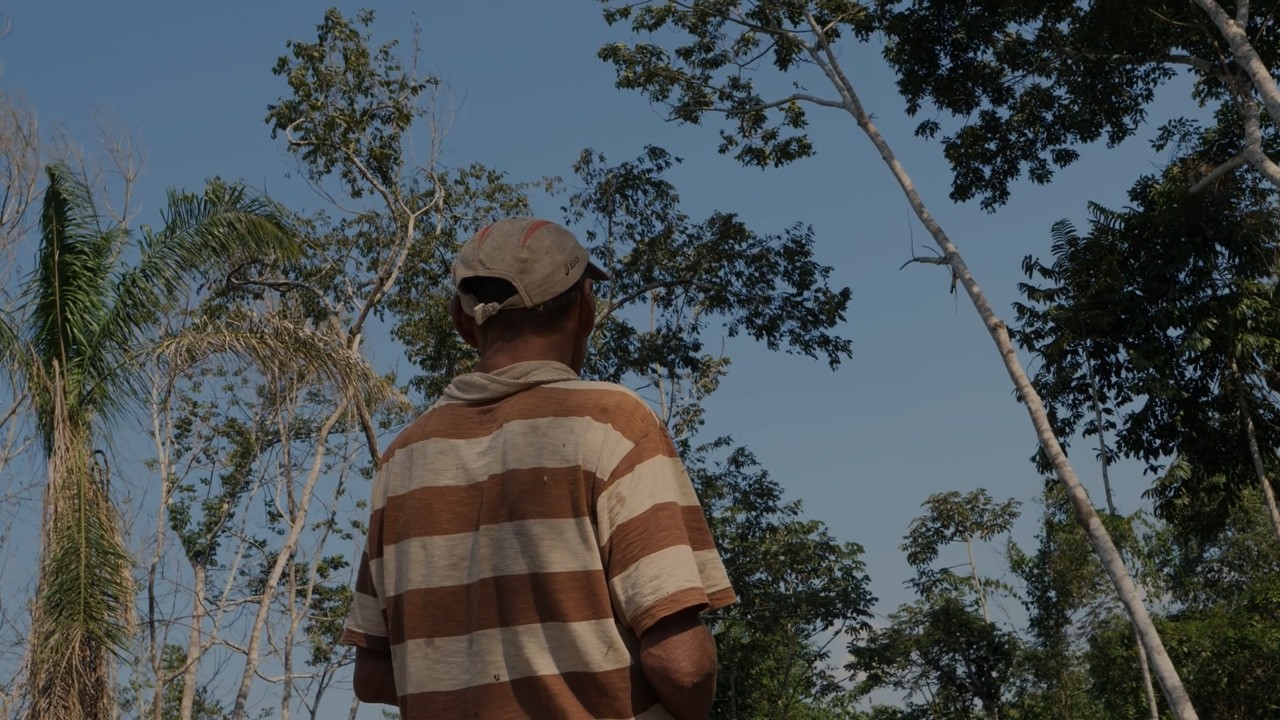 Árboles de Valor y Esperanza | Una lucha contra los incendios forestales