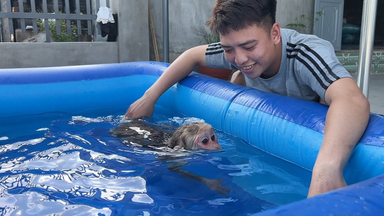 TOP 3 FUNNIEST Animal Pool Surprises - Monkey Luk's Included!