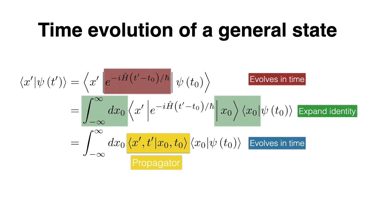 Quantum Mechanics; Chapter 8: Path Integrals