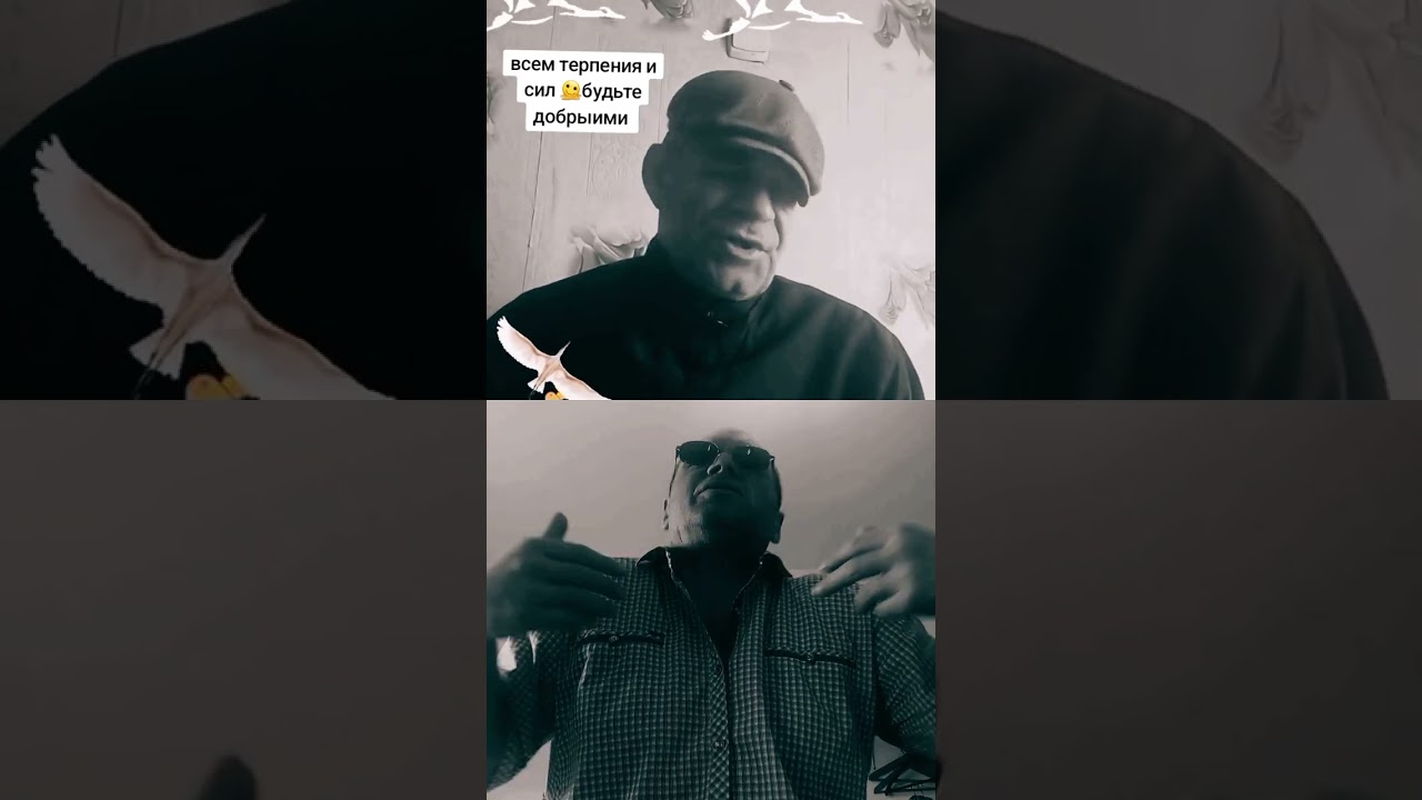 Серёга 🫠viks